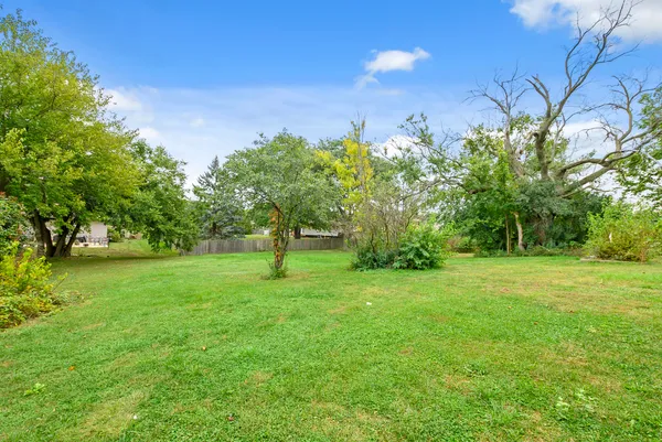 a view of a green field with trees