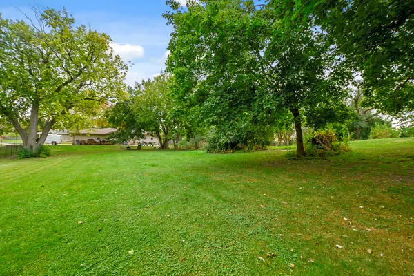 a view of field with trees