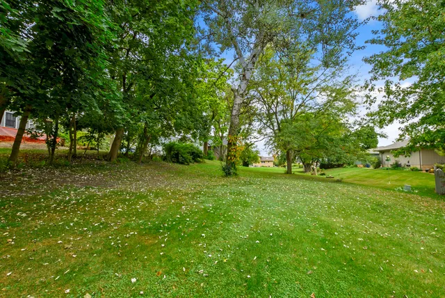 a view of yard with green space