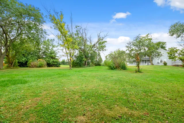 a view of green field