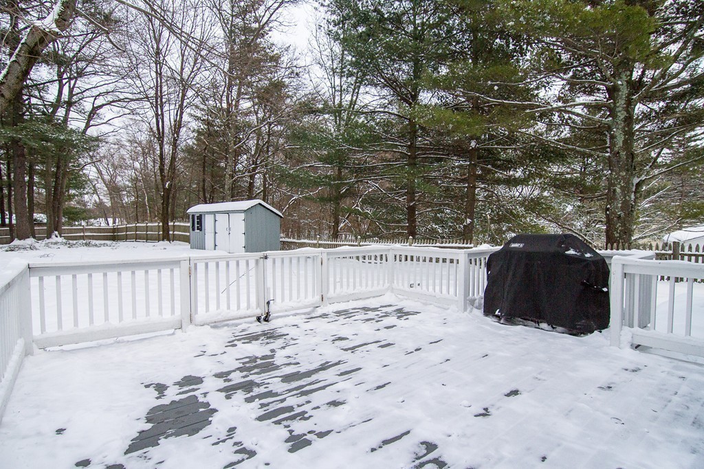 406 Common Street Walpole, MA 02081 - Photo 16 of 18 Gallery Image 16