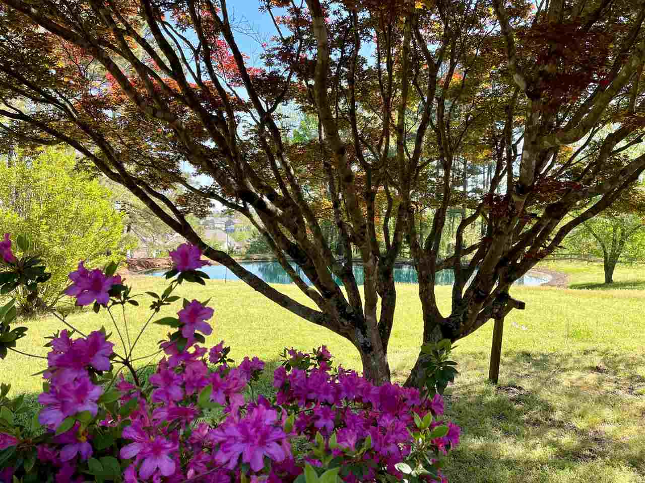 7612 Green Level Church Road Apex, NC 27523 - Photo 12 of 30 Photo 12