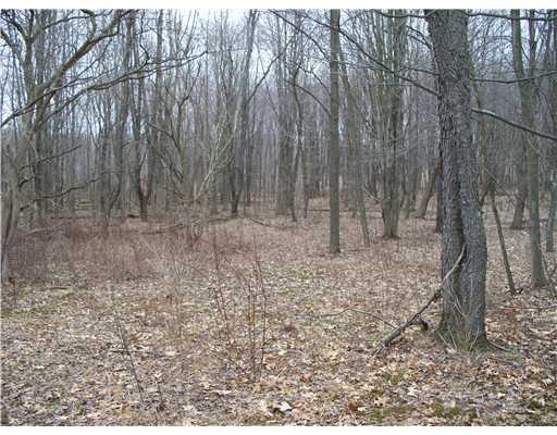 379 West Lake Road Transfer, PA 16154 - Photo 14 of 18 Land.