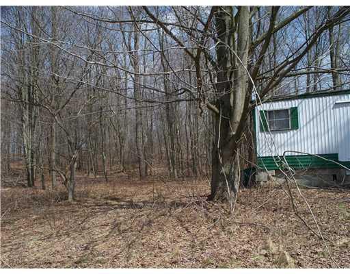 379 West Lake Road Transfer, PA 16154 - Photo 4 of 18 Land.