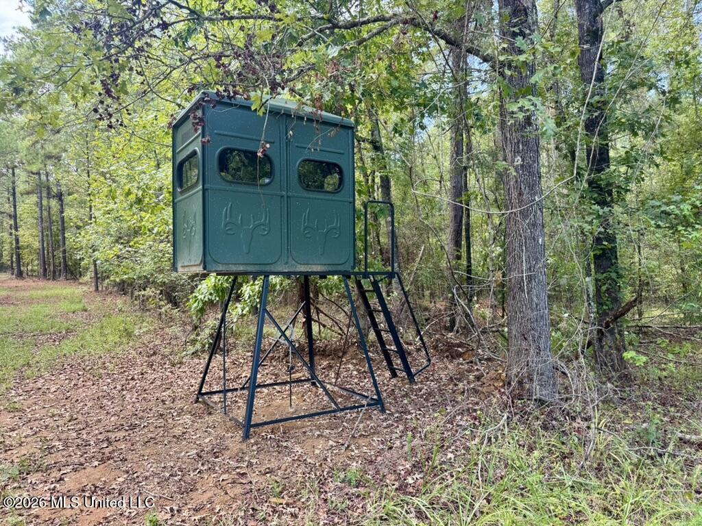 1 Chapel Hill Road Utica, MS 39175 - Photo 49 of 107 B64BB339-4EE6-4A45-A820-6E4D11148C9F_1_1