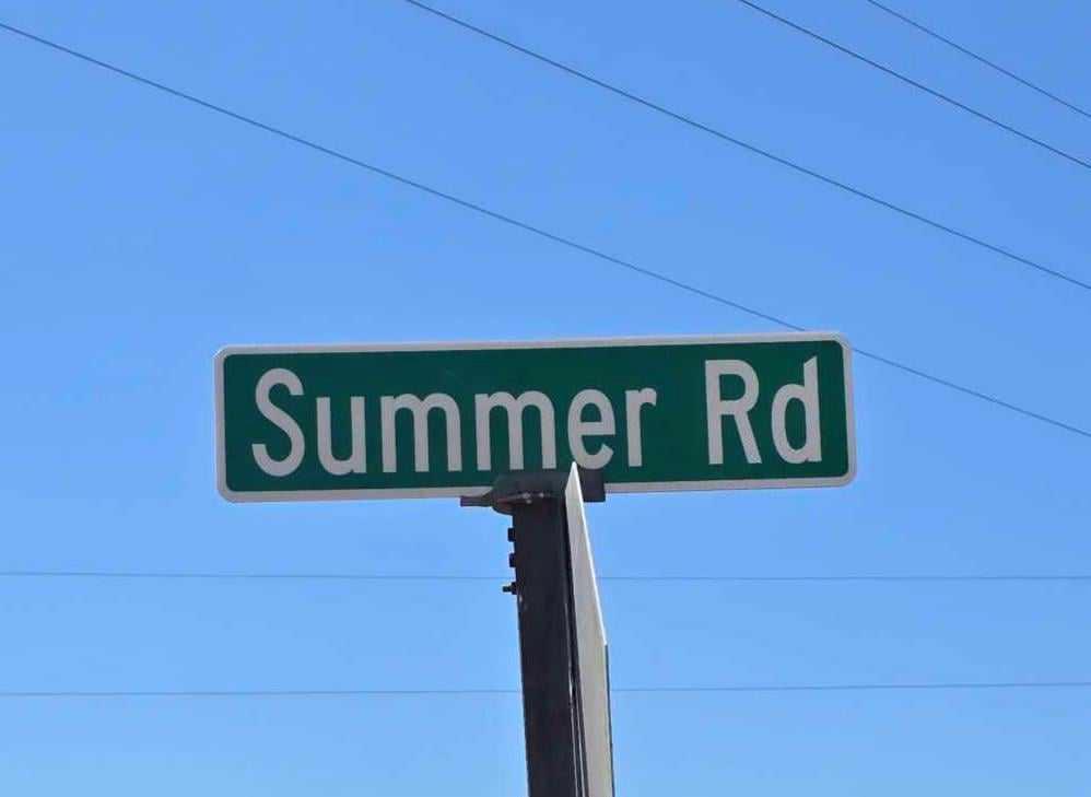 19-acres Summer Road Slocomb, AL 36375 - Photo 22 of 22