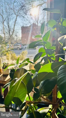 $2,300 | 3601 Wisconsin Avenue Northwest, Unit 702, Washington, DC 20016