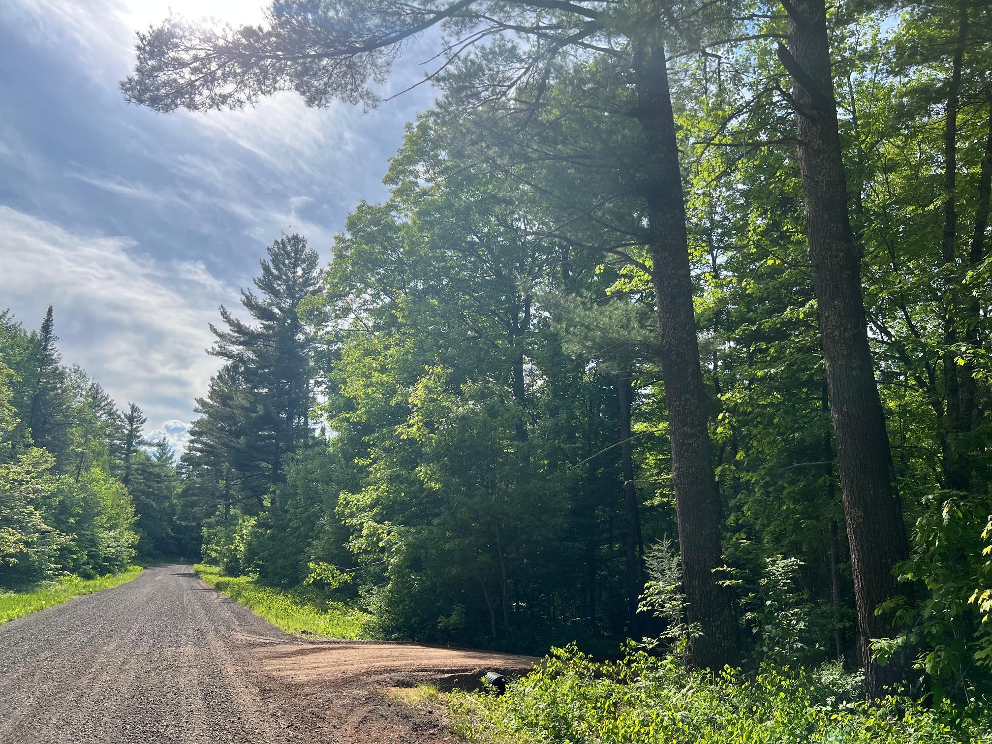 Tbd Smith Road Couderay, WI 54828 - Photo 22 of 23
