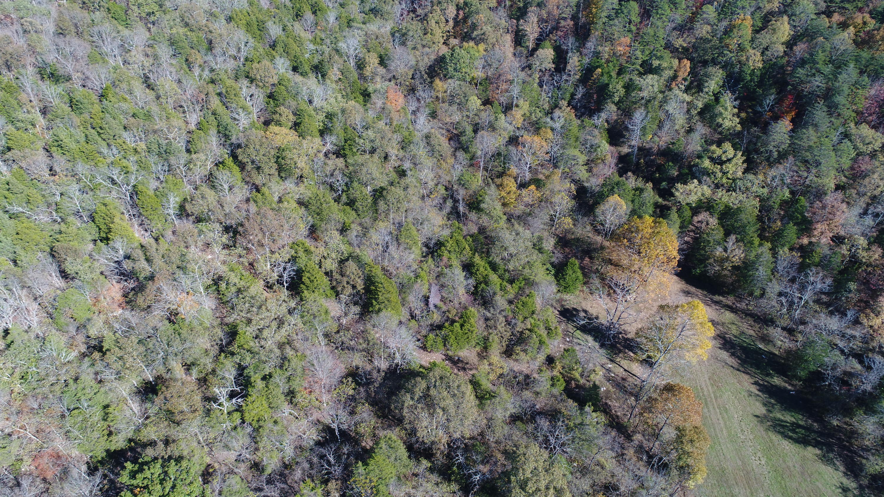 501 Big Sink Road Somerset, KY 42503 - Photo 6 of 38 DJI_0929