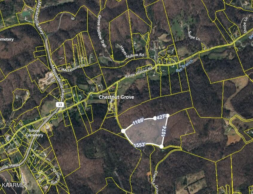 2 Chestnut Grove Road Maynardville, TN 37807 - Photo 3 of 4 Gallery Image 3