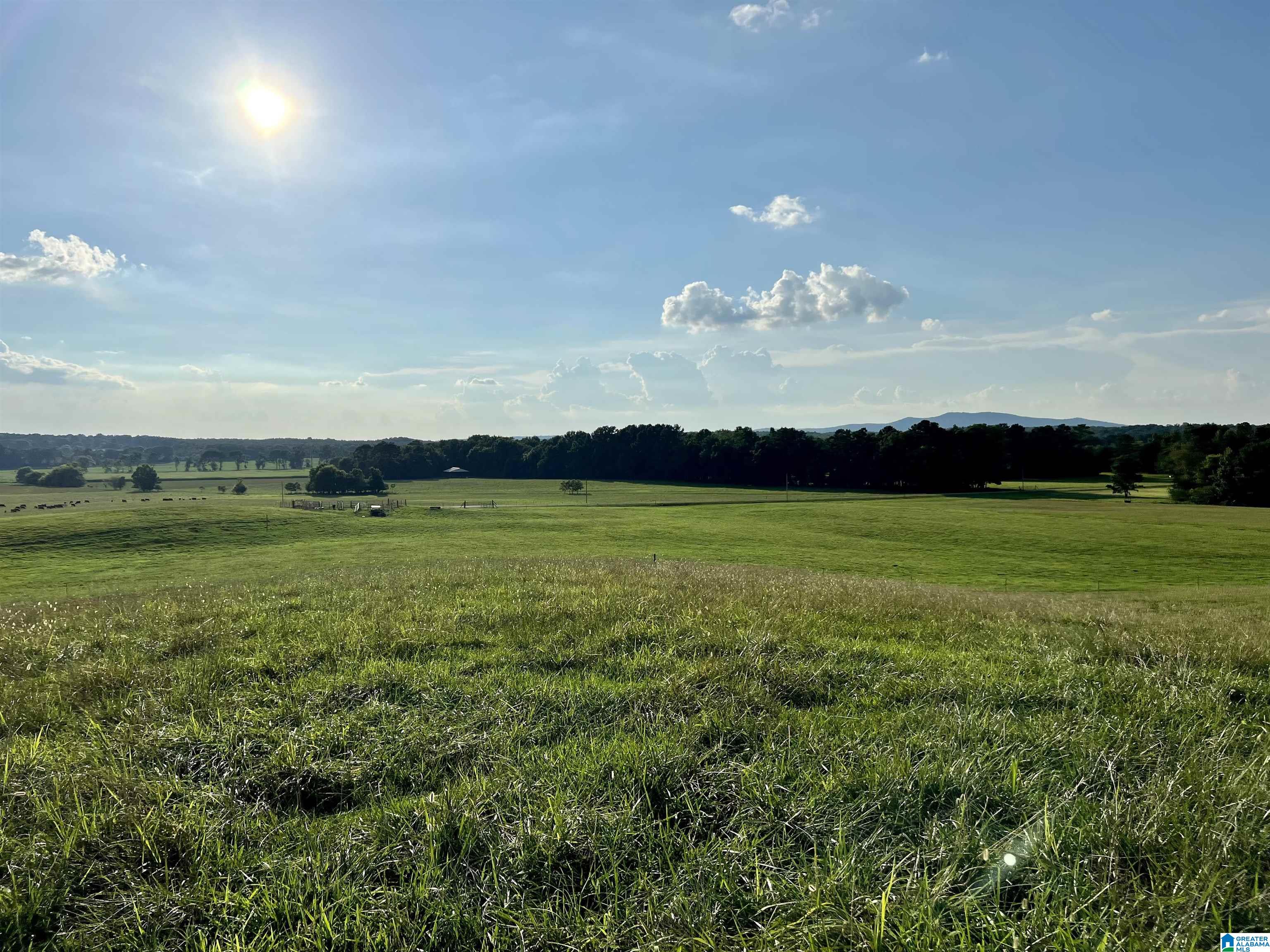 1515 Kelly Ranch Road, Unit 138 ACRES / Talladega, AL 35160 - Photo 39 of 42