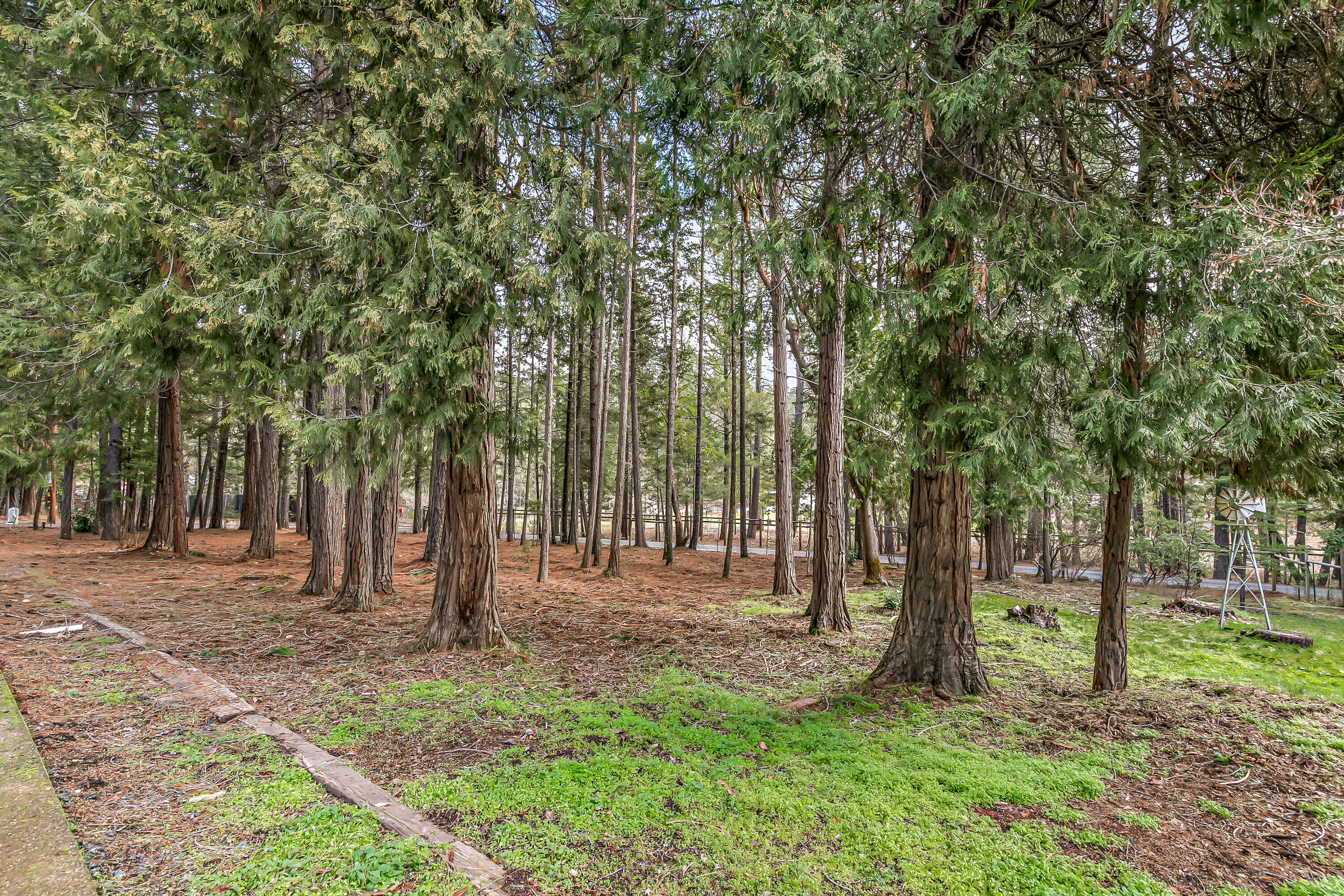 3610 Pleasant Creek Road Rogue River, OR 97537 - Photo 91 of 110 9R9A7207