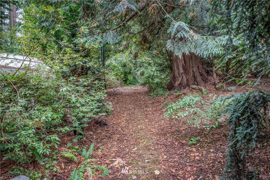 6507 Woodlyn Road Ferndale, WA 98248 - Photo 22 of 25 a big yard with lots of green space and plants