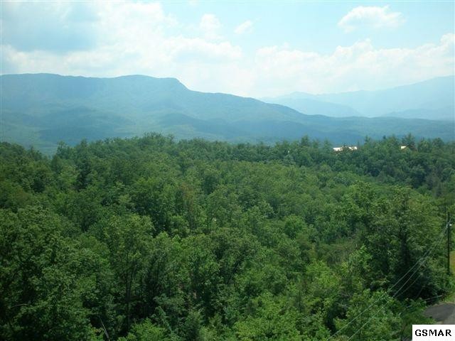 70 Big Bear Ridge Road Gatlinburg, TN 37738 - Photo 2 of 11