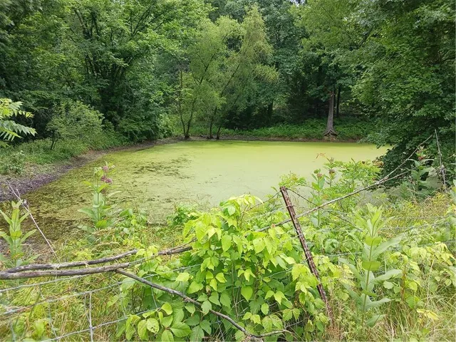 $250,000 | 871 Southwest 301st Road, Chilhowee, MO 64733