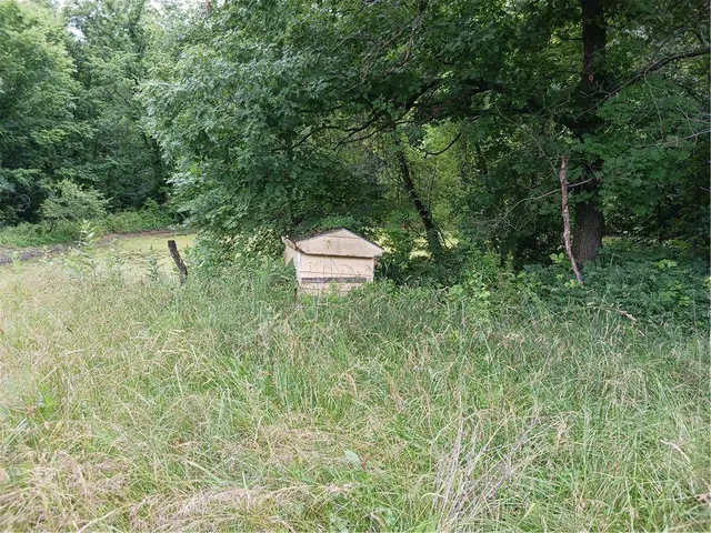 $250,000 | 871 Southwest 301st Road, Chilhowee, MO 64733