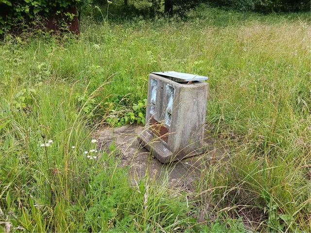 $250,000 | 871 Southwest 301st Road, Chilhowee, MO 64733