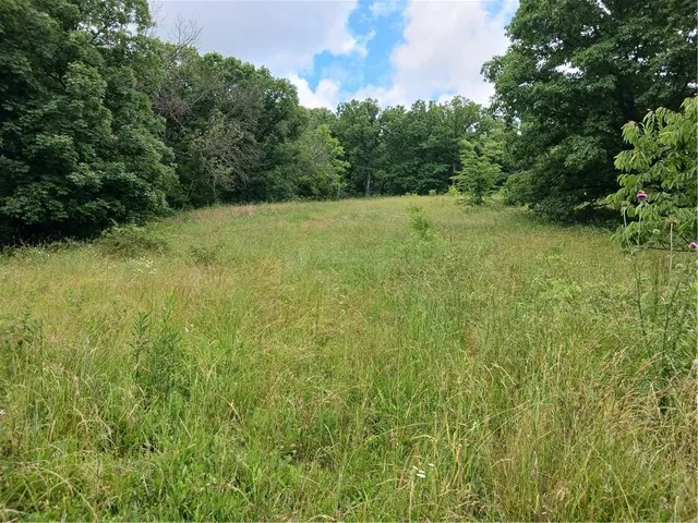 $250,000 | 871 Southwest 301st Road, Chilhowee, MO 64733