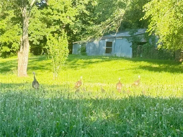 $250,000 | 871 Southwest 301st Road, Chilhowee, MO 64733