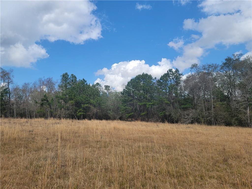 0 Old Military Road Covington, LA 70435 - Photo 1 of 5 Gallery Image 1