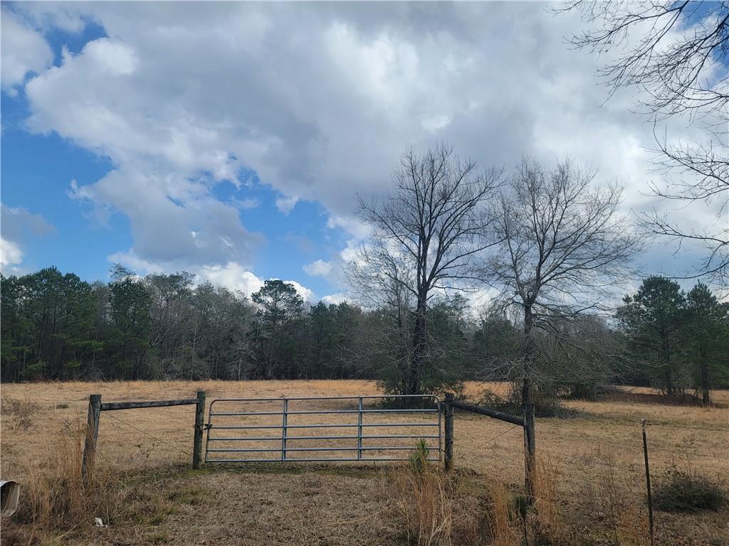 0 Old Military Road Covington, LA 70435 - Photo 2 of 5 Gallery Image 2