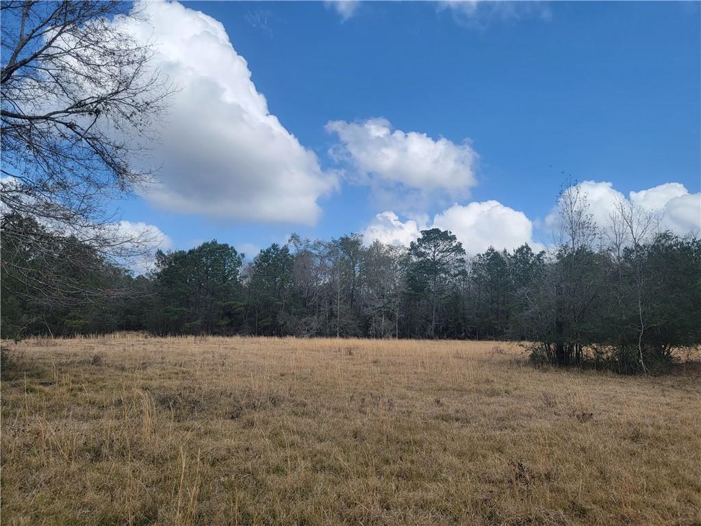 0 Old Military Road Covington, LA 70435 - Photo 3 of 5 Gallery Image 3