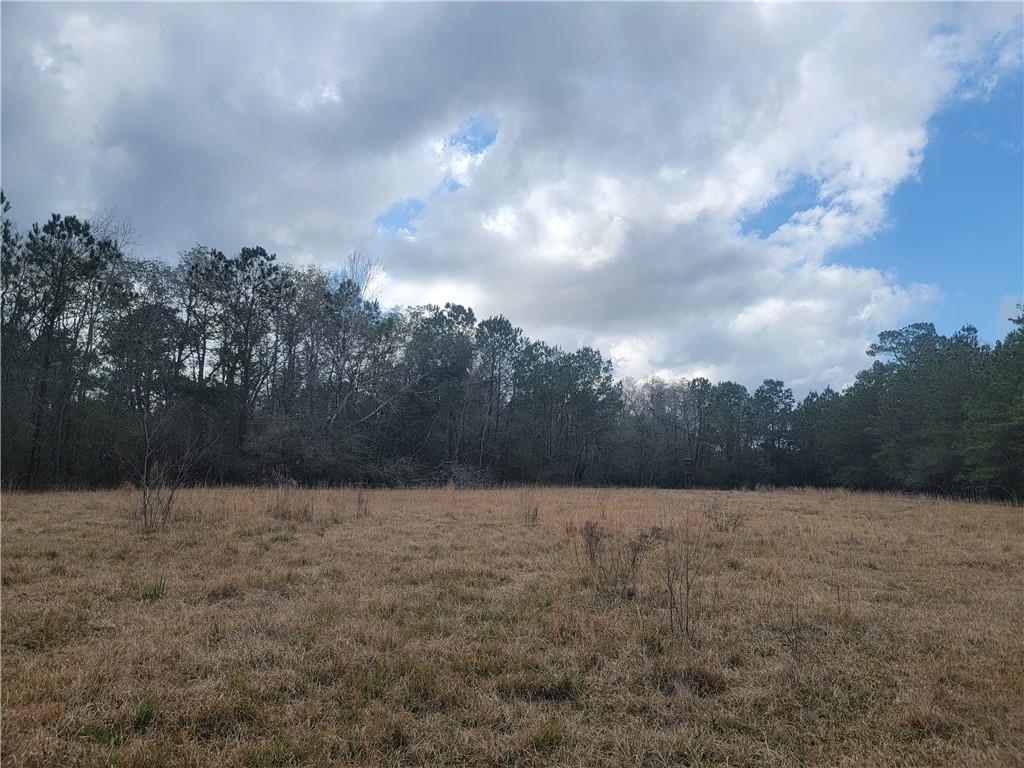 0 Old Military Road Covington, LA 70435 - Photo 5 of 5 Gallery Image 5