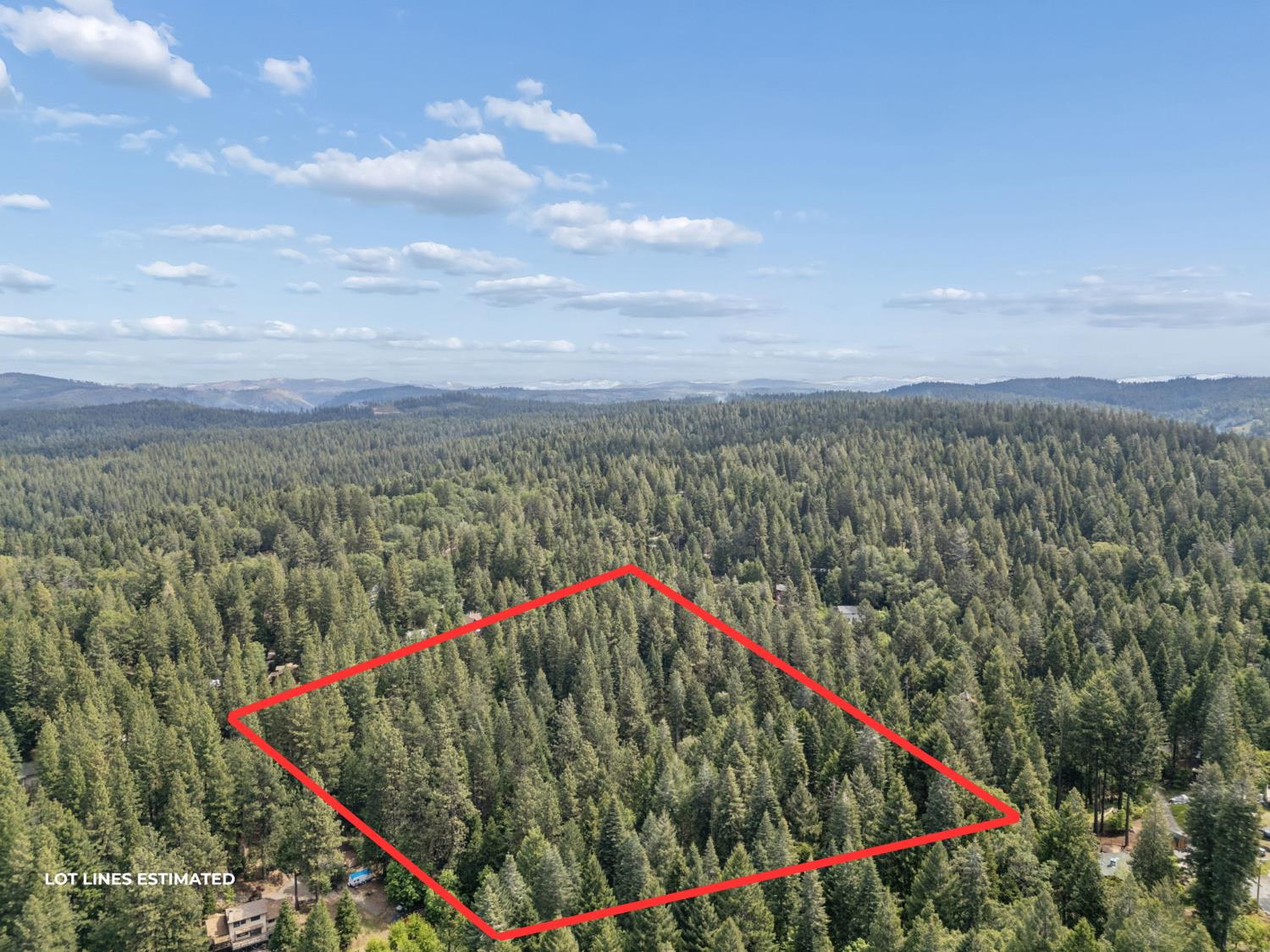 3354 Crocker Ranch Road Pollock Pines, CA 95726 - Photo 11 of 12 a view of a lush green forest
