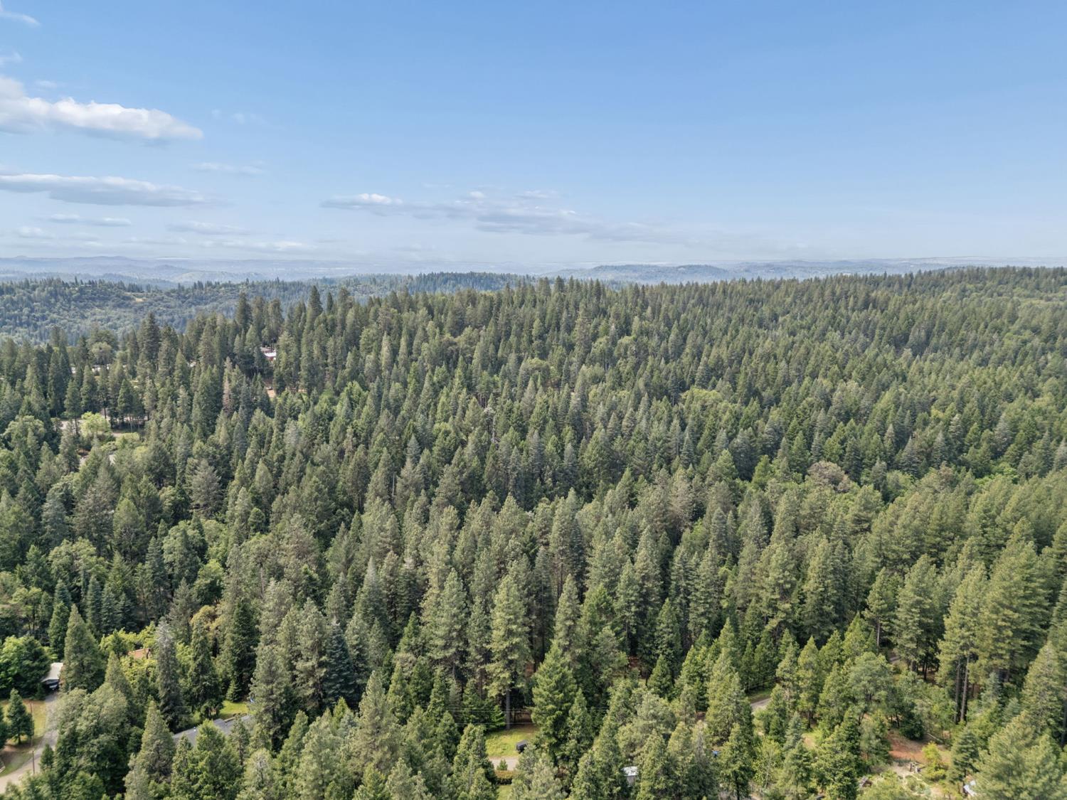 3354 Crocker Ranch Road Pollock Pines, CA 95726 - Photo 2 of 12 a view of a green field