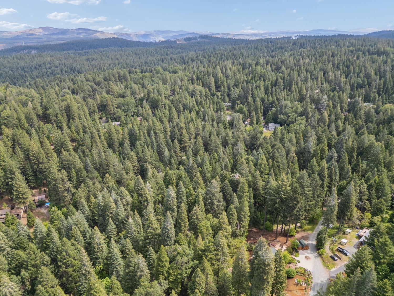 3354 Crocker Ranch Road Pollock Pines, CA 95726 - Photo 3 of 12 a view of a city with lush green forest