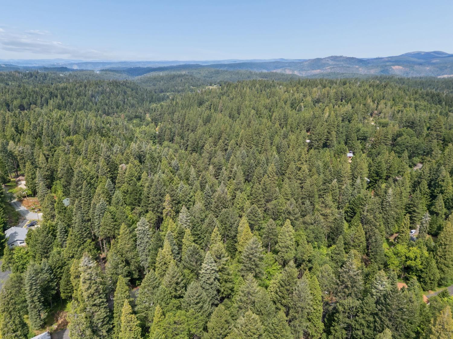 3354 Crocker Ranch Road Pollock Pines, CA 95726 - Photo 5 of 12 a view of a yard with an outdoor seating