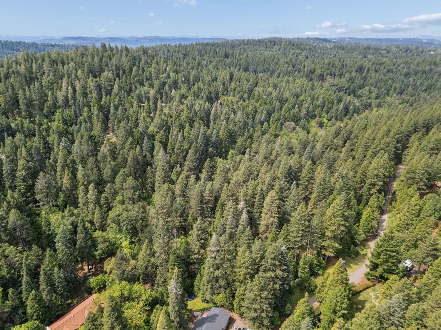 3354 Crocker Ranch Road Pollock Pines, CA 95726 - Photo 6 of 12 a view of a green field with lots of bushes