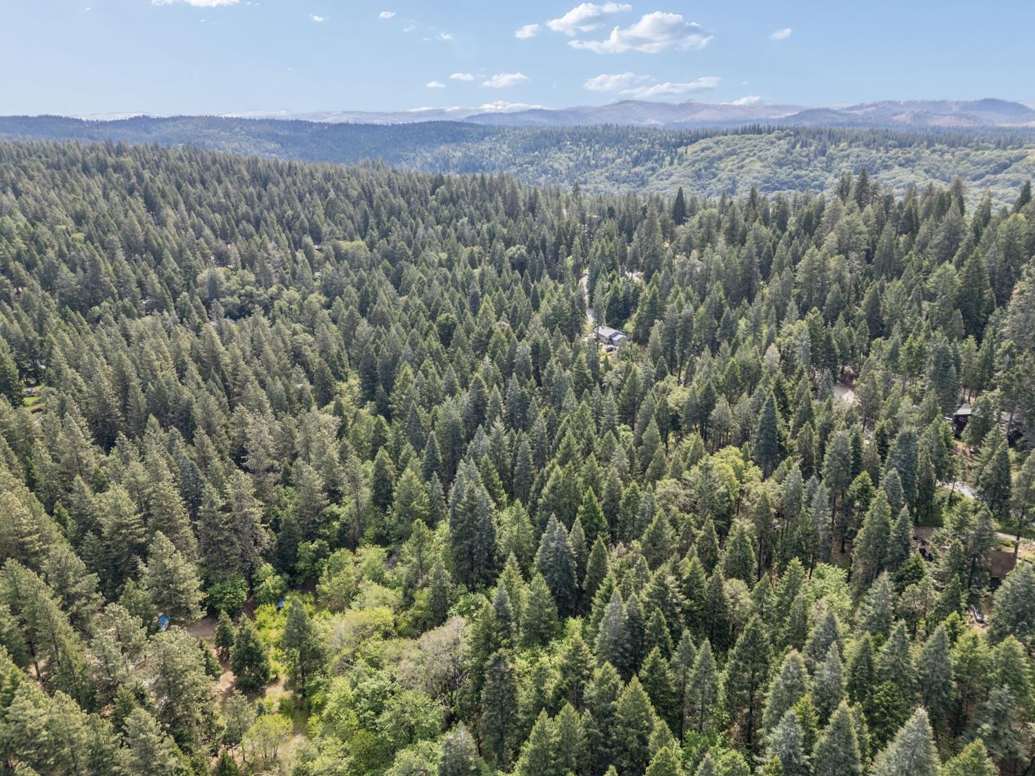 3354 Crocker Ranch Road Pollock Pines, CA 95726 - Photo 7 of 12 a view of a city with lush green forest