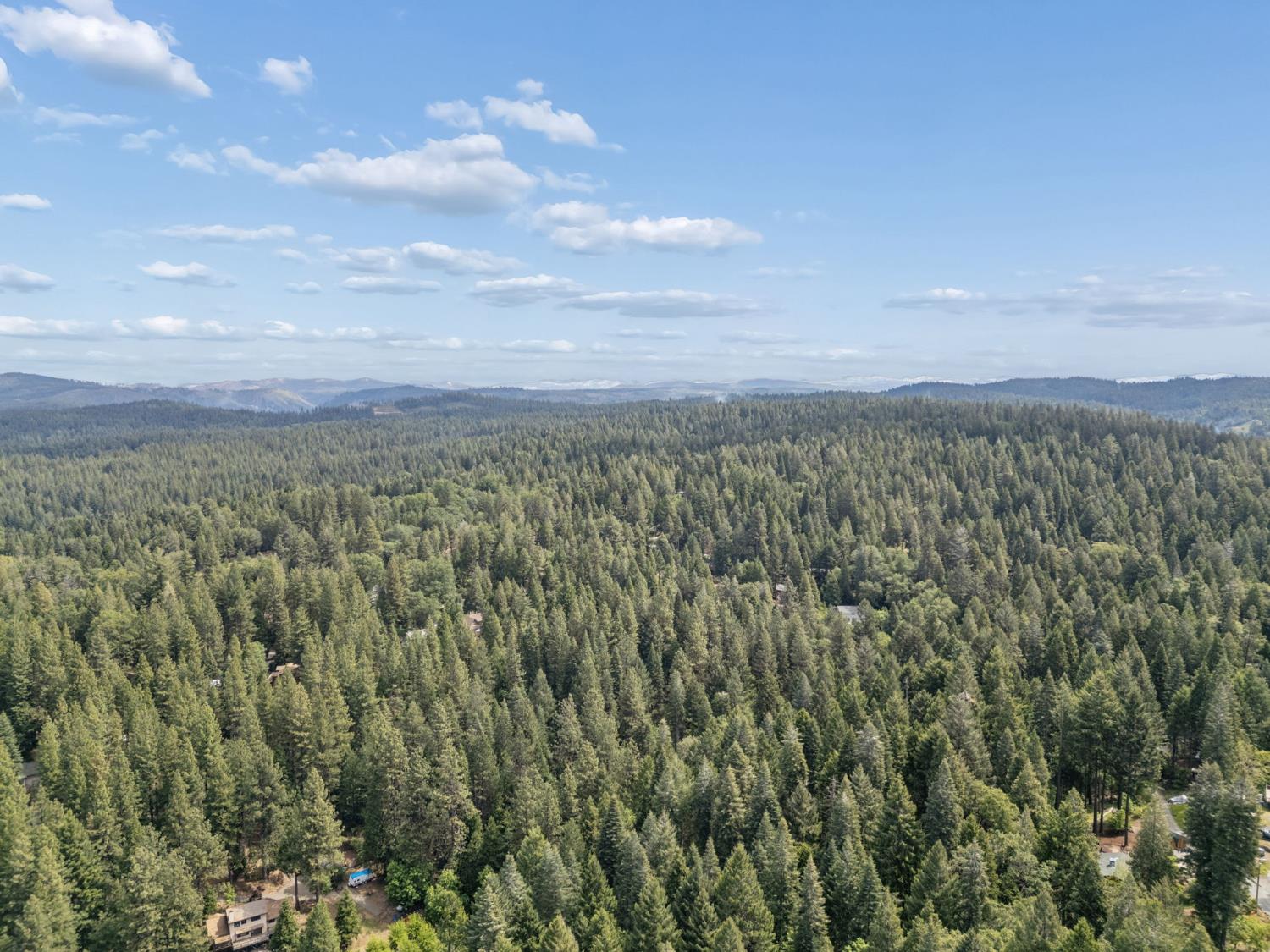 3354 Crocker Ranch Road Pollock Pines, CA 95726 - Photo 9 of 12 a view of a green field