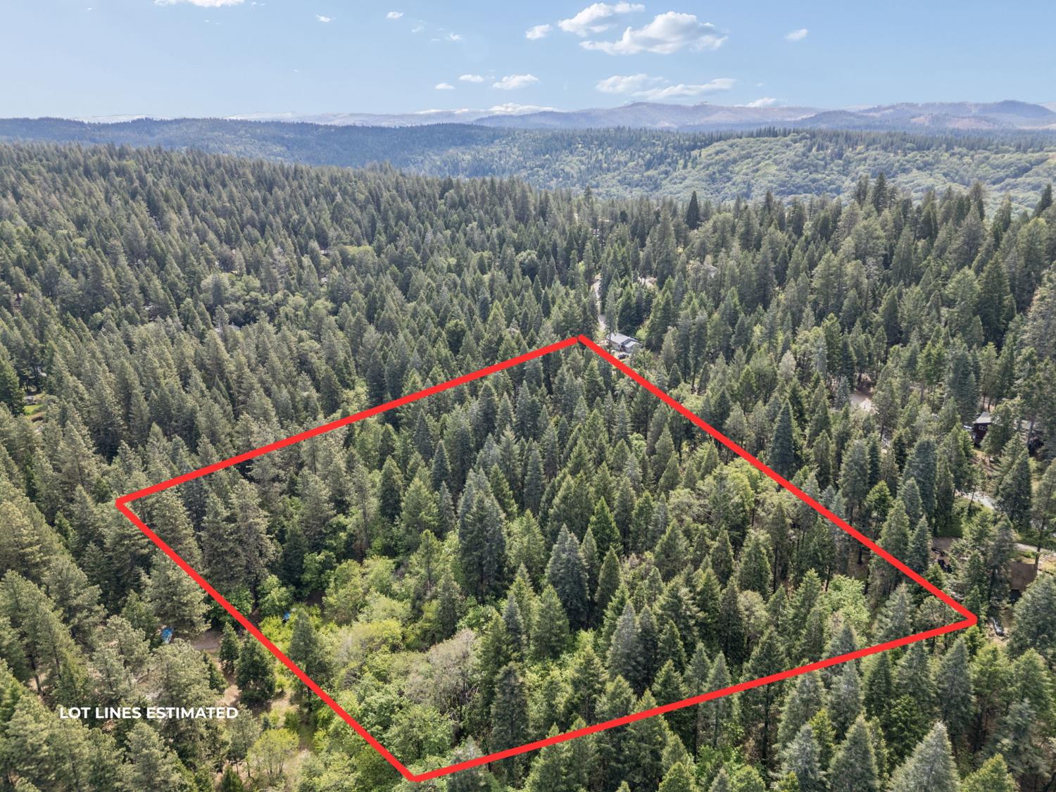 3354 Crocker Ranch Road Pollock Pines, CA 95726 - Photo 10 of 12 a view of a lush green forest with mountains in the background