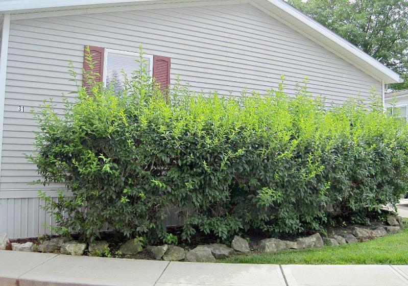 31 Spring Lake Court Delaware, OH 43015 - Photo 14 of 20 Gallery Image 14
