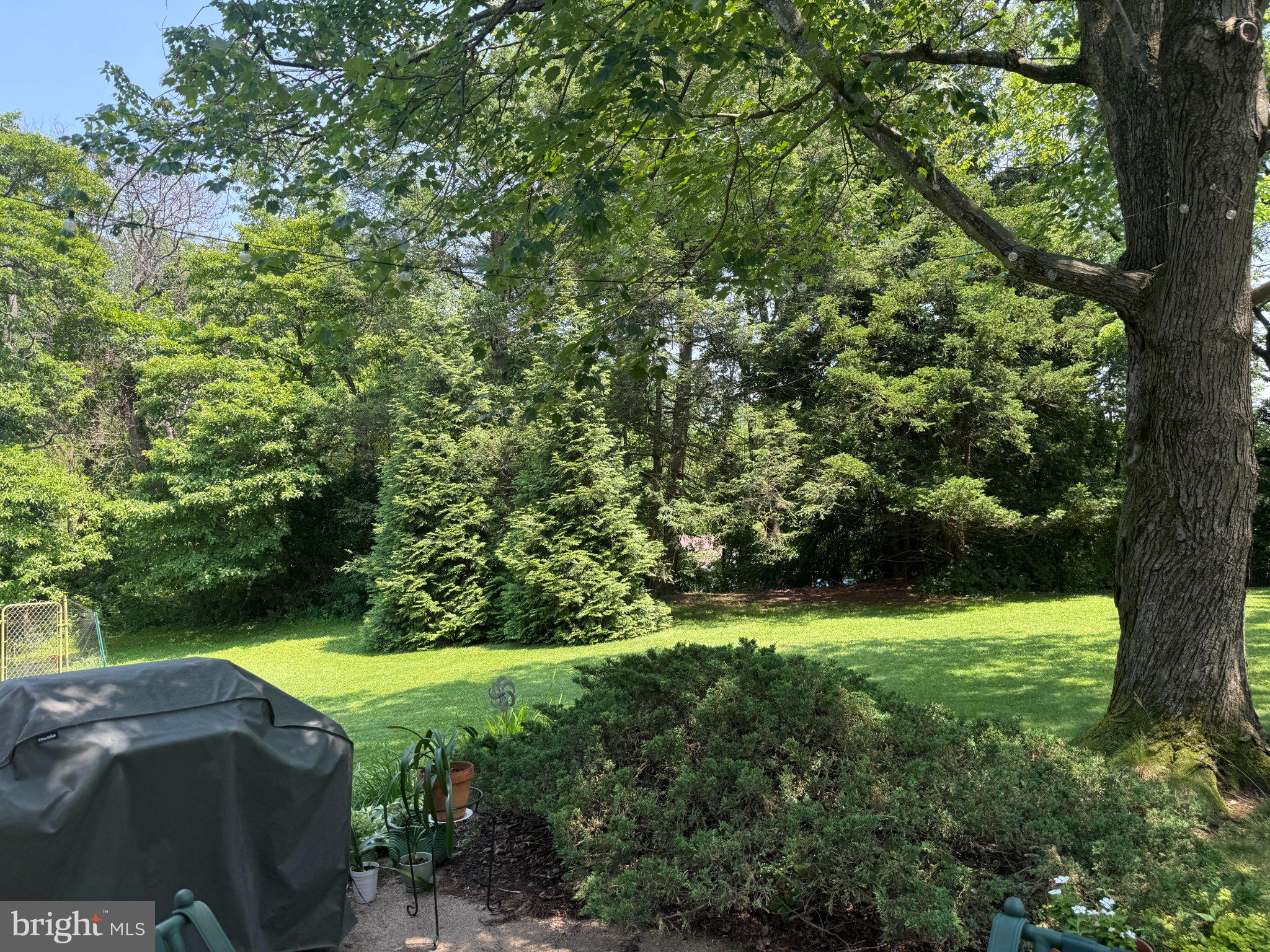 1421 Morningside Drive Silver Spring, MD 20904 - Photo 5 of 7 Lush green retreat in serene surroundings.