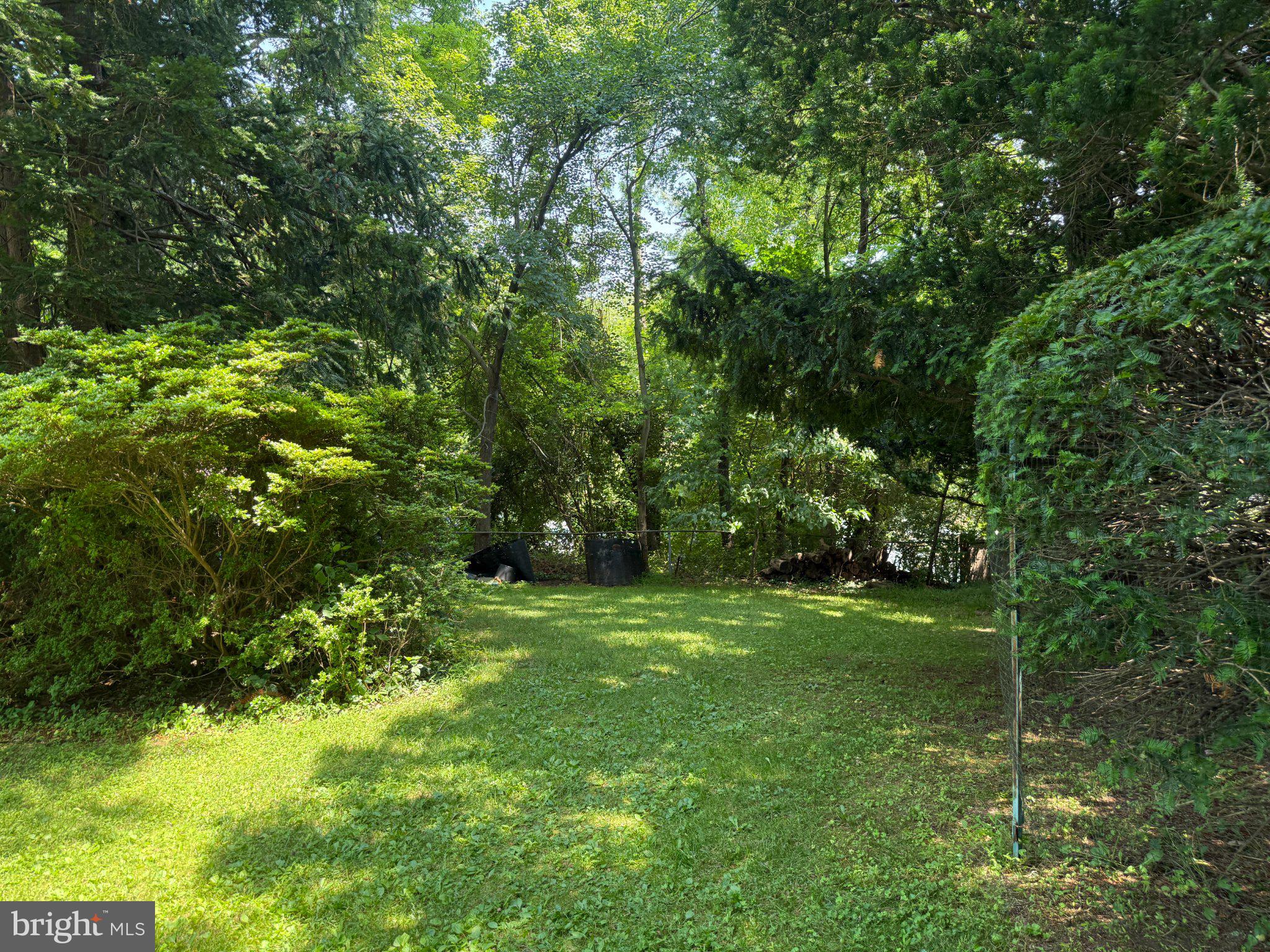 1421 Morningside Drive Silver Spring, MD 20904 - Photo 6 of 7 Large back yard for activities.