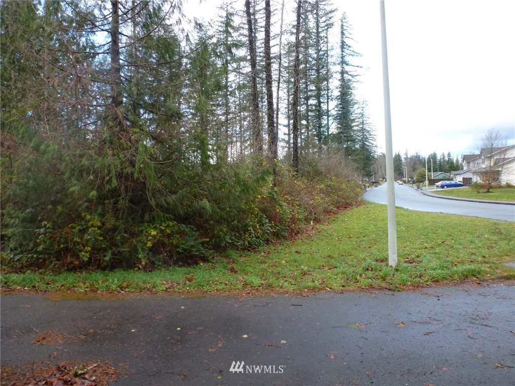 0 State Rte 2 Gold Bar, WA 98251 - Photo 8 of 9