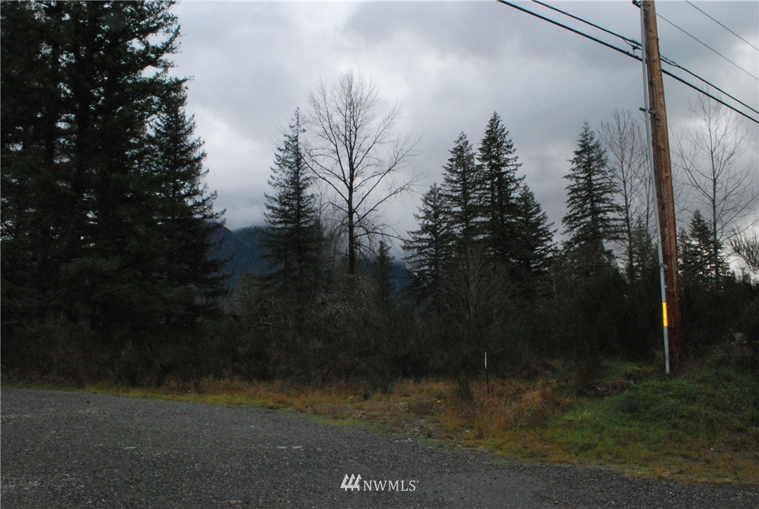 0 State Rte 2 Gold Bar, WA 98251 - Photo 9 of 9