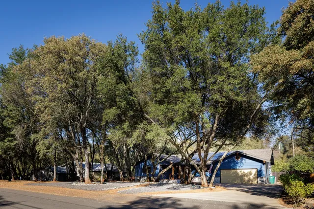 a view of a house with large trees next to a road