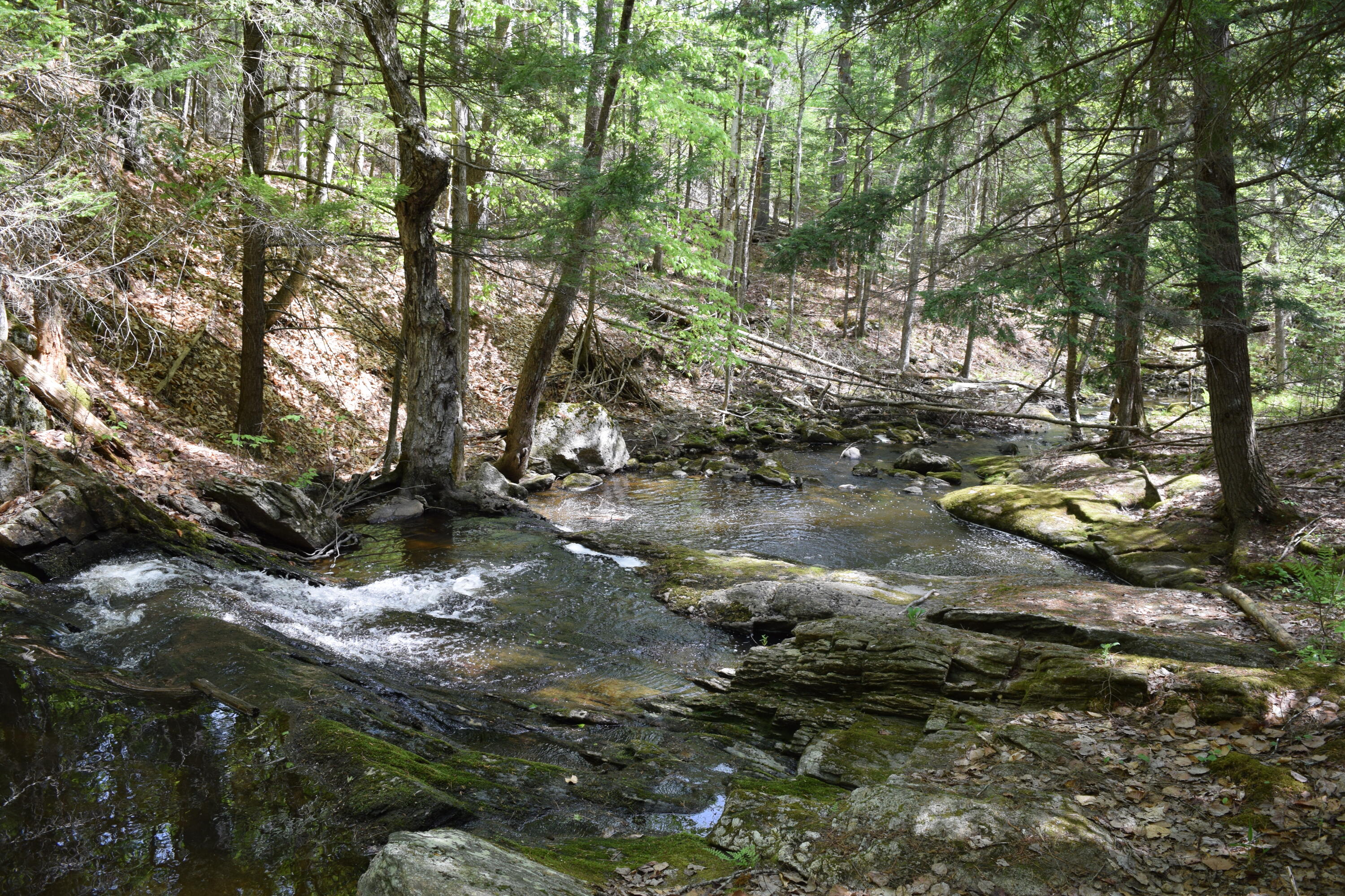 Lot #30 Potter Road Lisbon, ME 04252 - Photo 6 of 13 DSC_1229