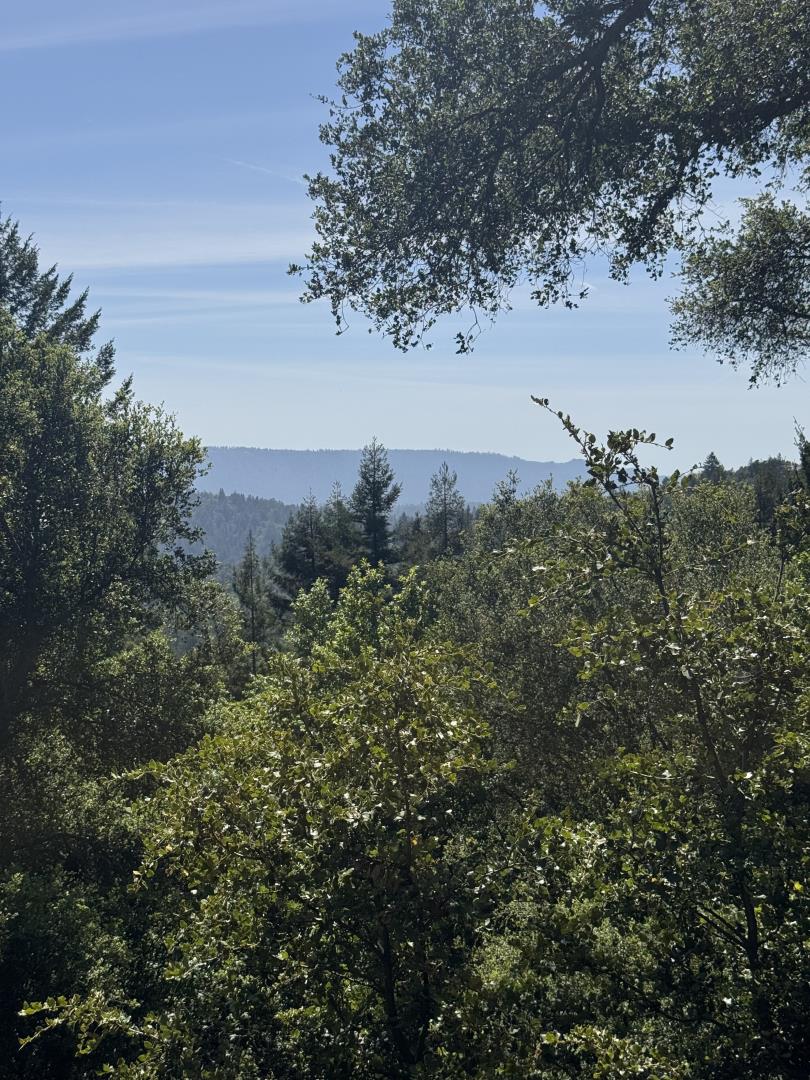 15171 Old Ranch Road Los Gatos, CA 95033 - Photo 2 of 2 a view of a lake in middle of forest