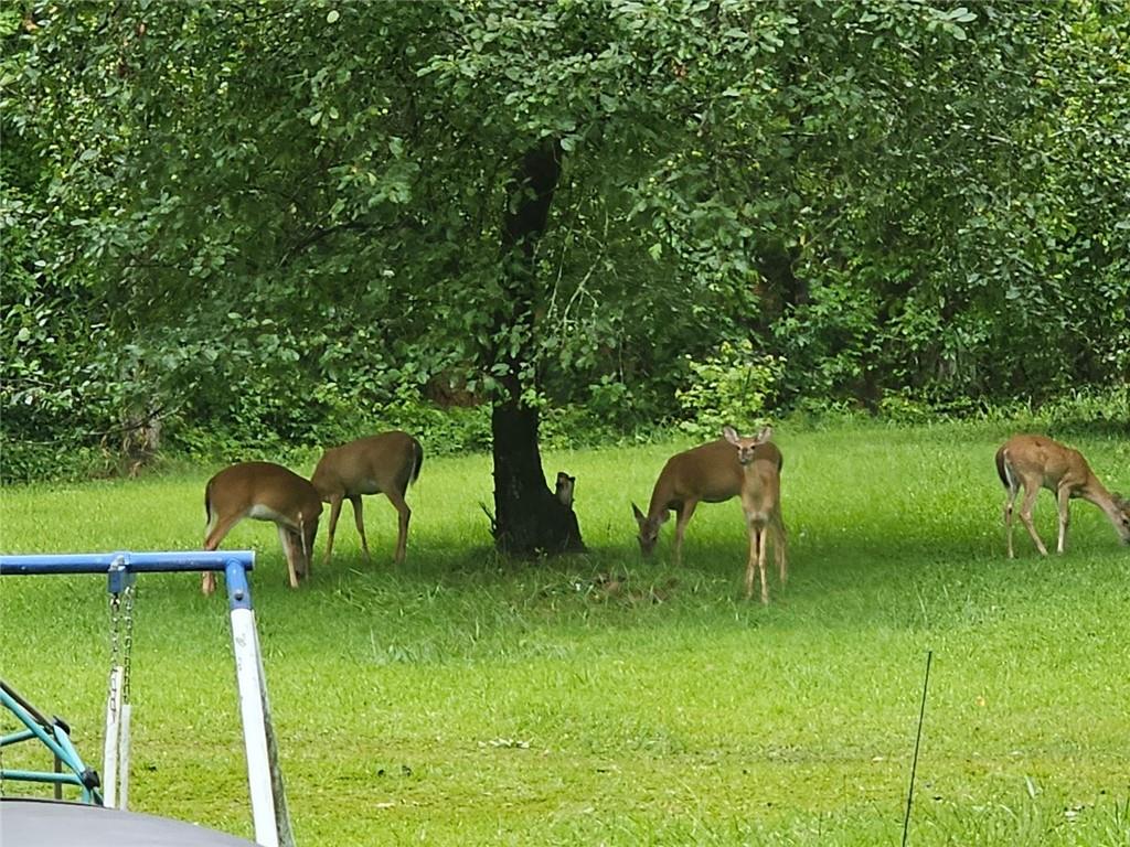 3096 Campground Road Winston, GA 30187 - Photo 22 of 22