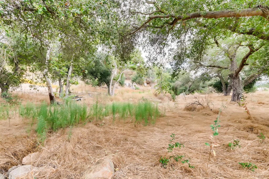 14871 Highland Heights Road Jamul, CA 91935 - Photo 22 of 25