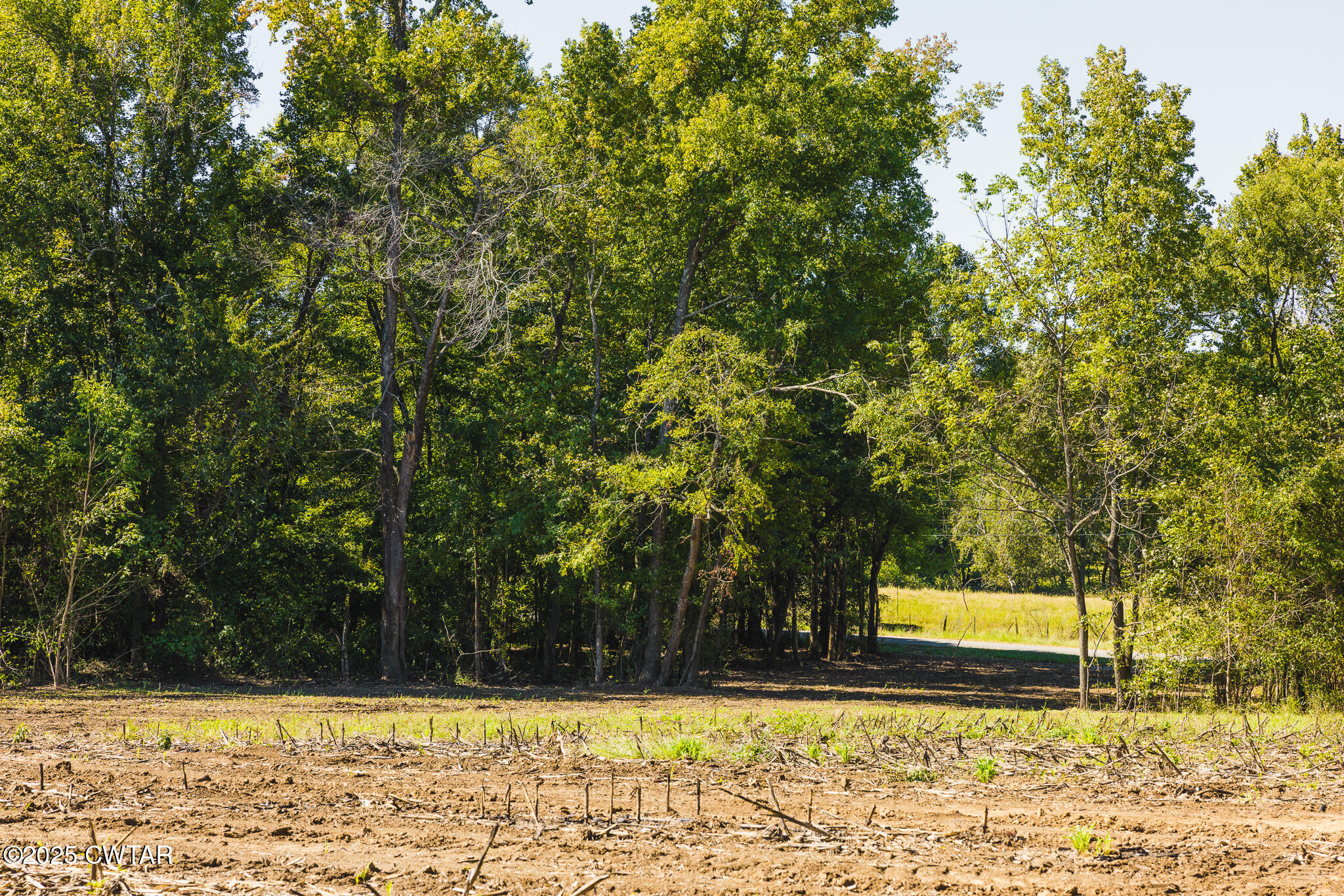 7 Hearn Road Greenfield, TN 38230 - Photo 11 of 13 a view of a yard with trees