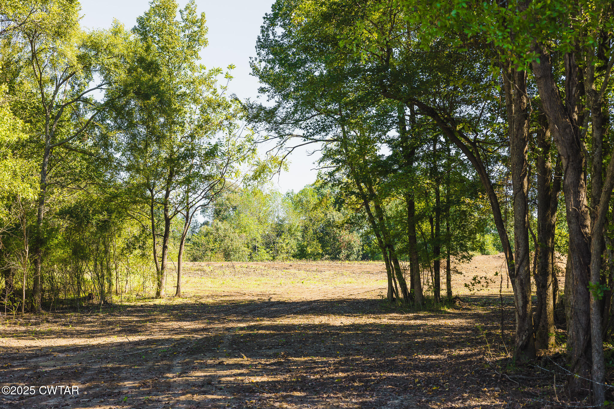 7 Hearn Road Greenfield, TN 38230 - Photo 12 of 13 a view of a yard