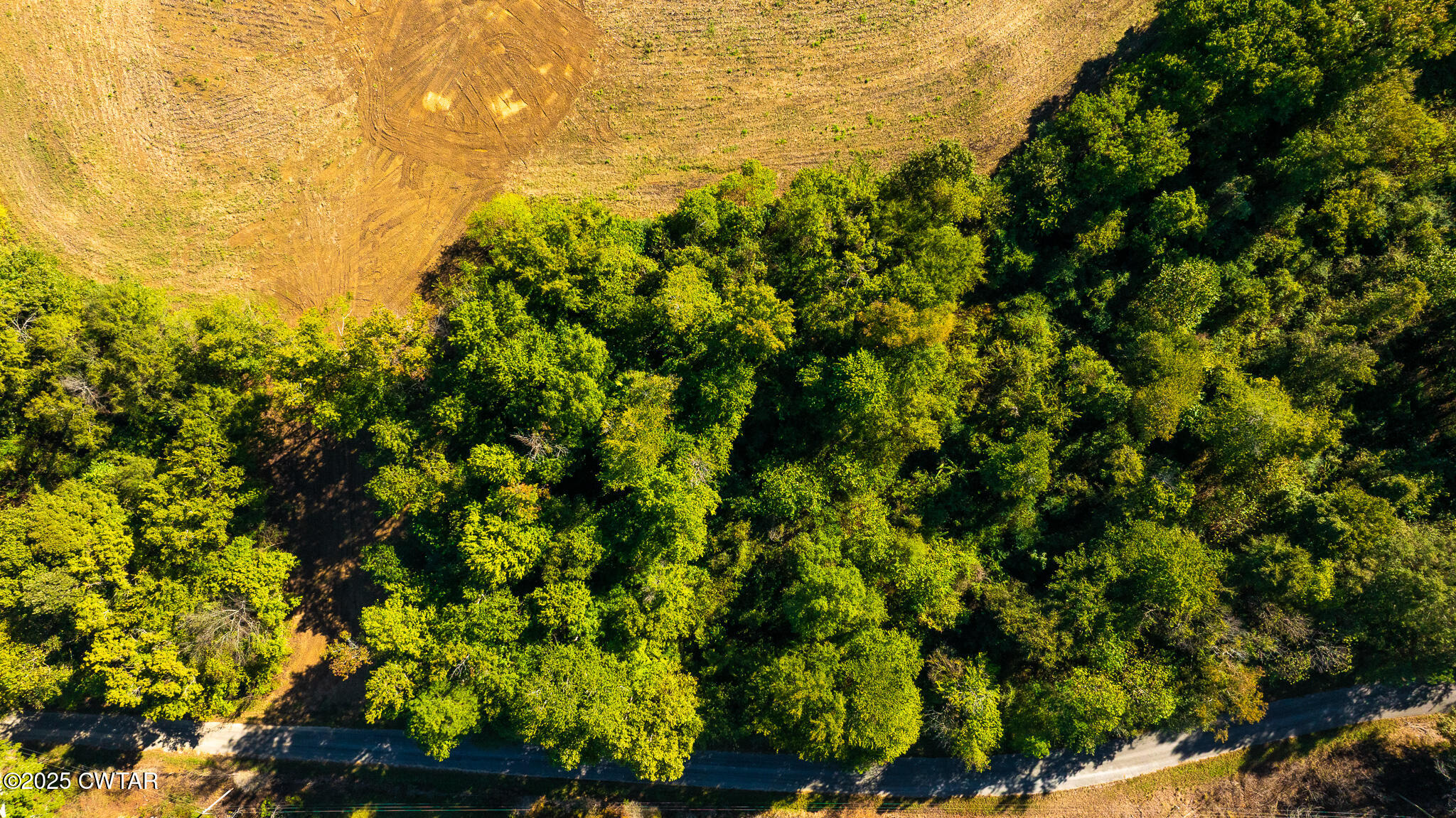 7 Hearn Road Greenfield, TN 38230 - Photo 2 of 13 a view of a bunch of trees