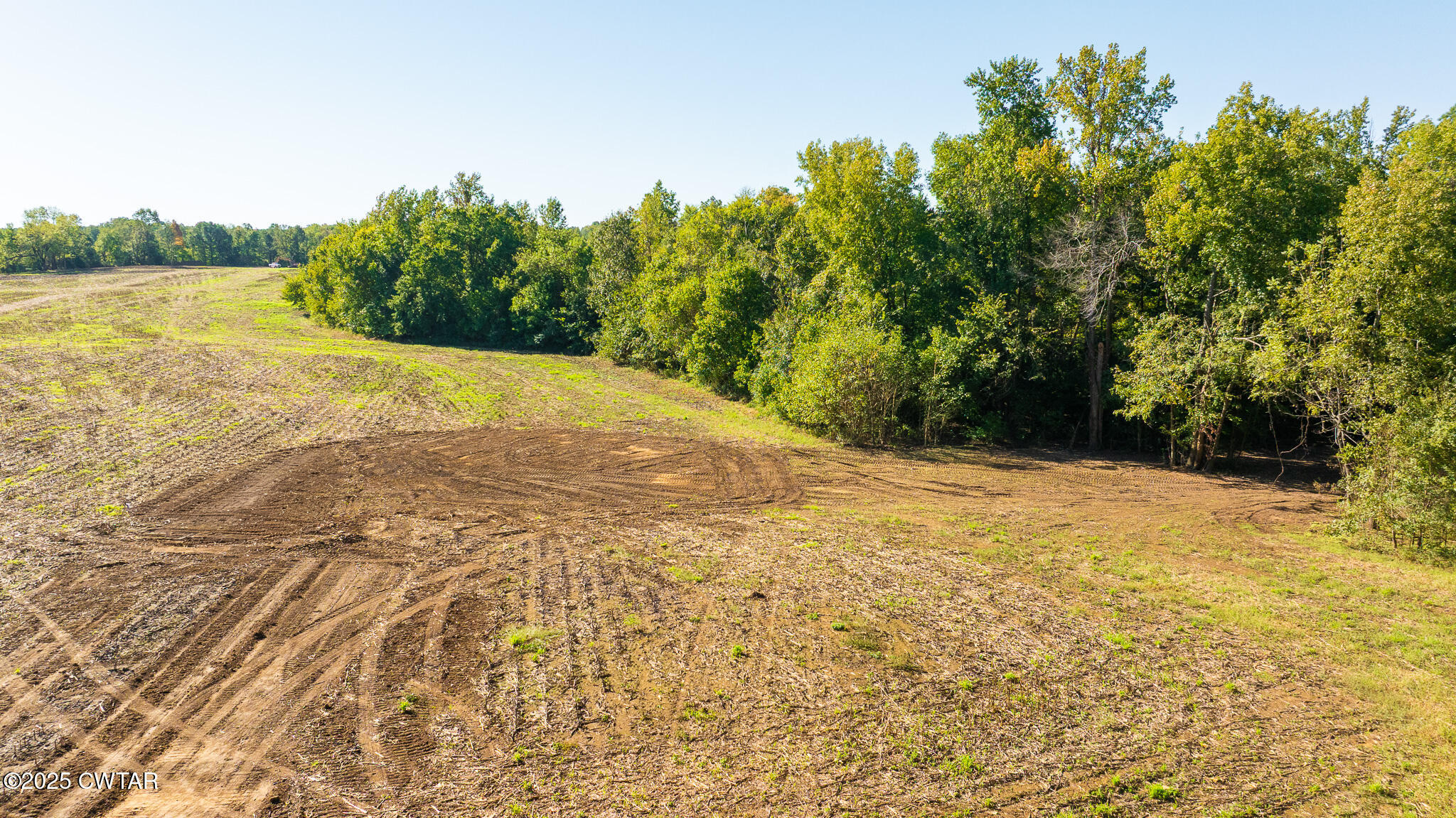 7 Hearn Road Greenfield, TN 38230 - Photo 3 of 13 a view of a yard with an outdoor space