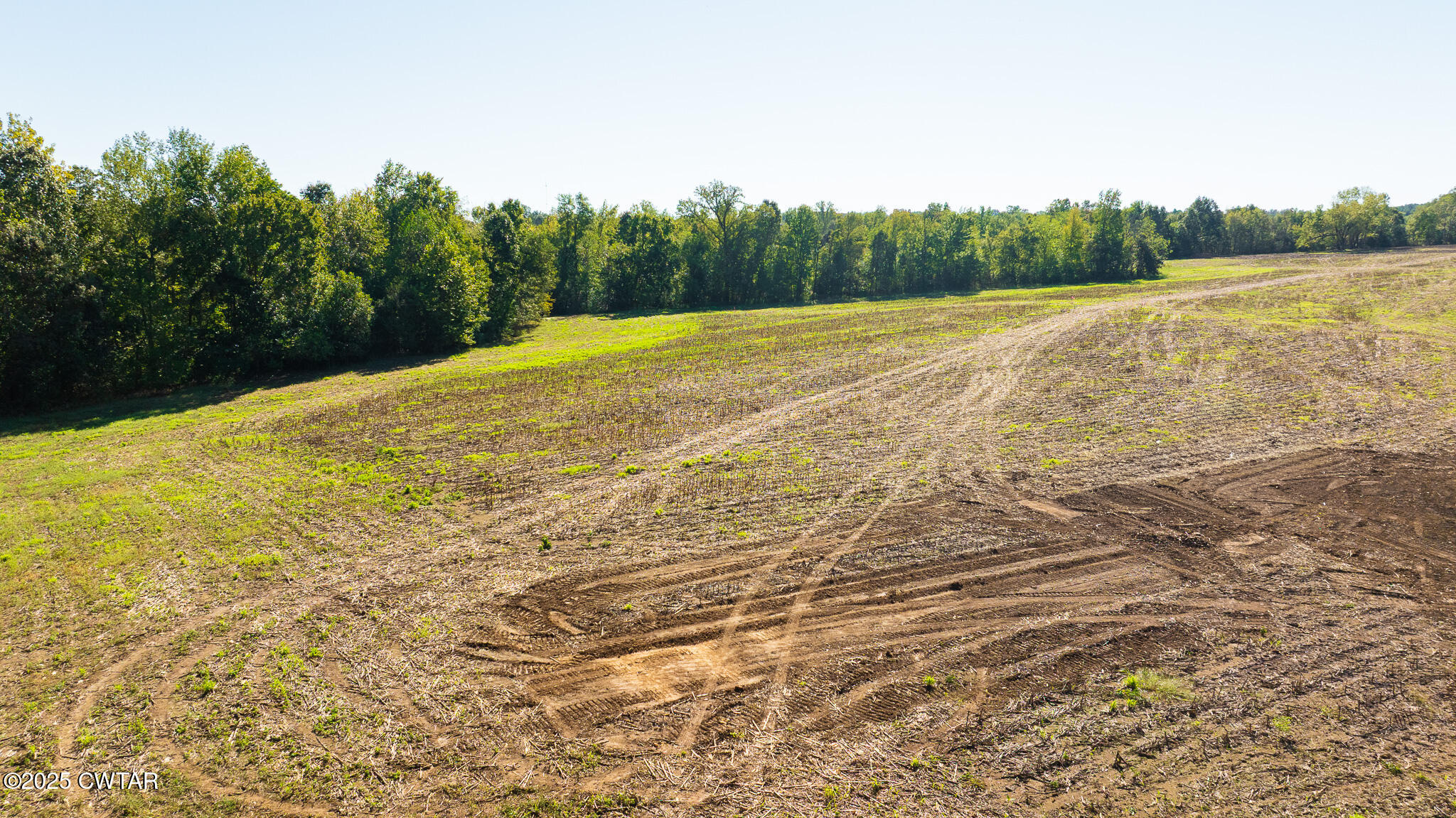 7 Hearn Road Greenfield, TN 38230 - Photo 4 of 13 a view of a field with an ocean view